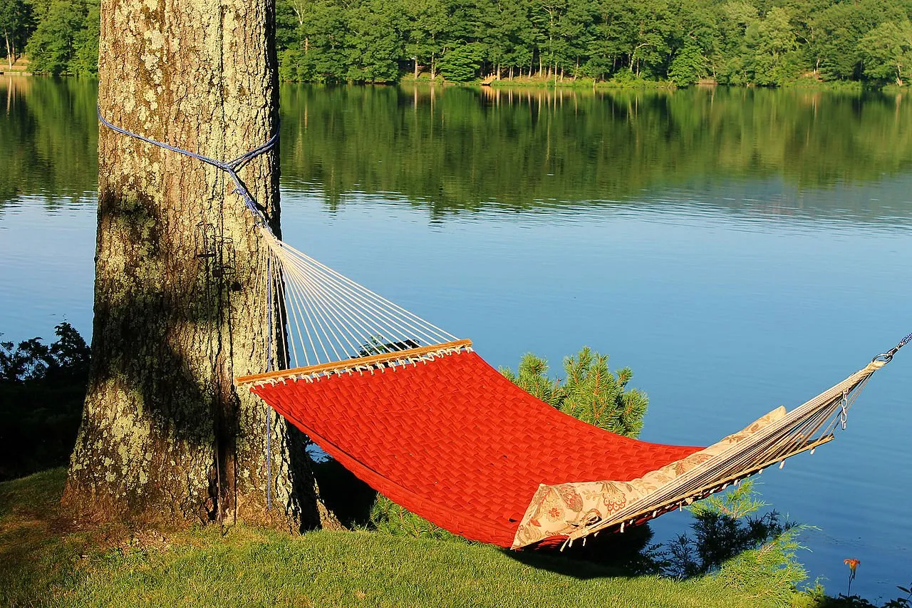 camp store (rental gear, firewood, hammocks)